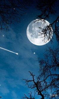 月亮吃瓜娱乐说,揭秘娱乐圈幕后故事